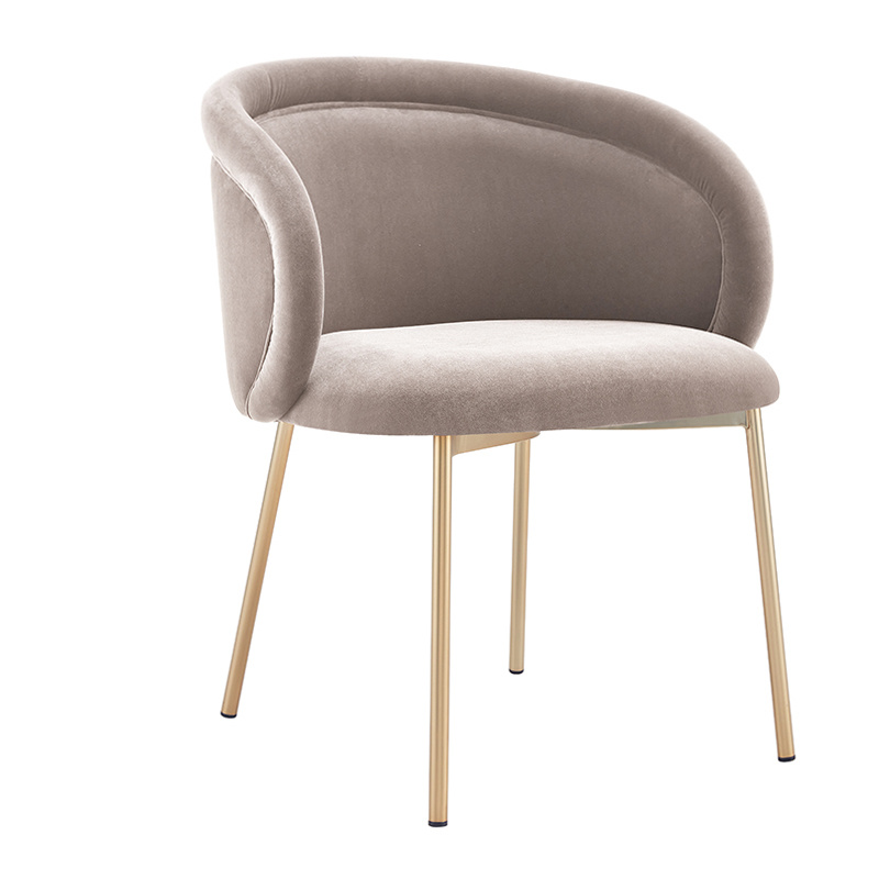 Transparent Upholstered Plastic Armchair Velvet Accent Chair Velvet Dining Chairs